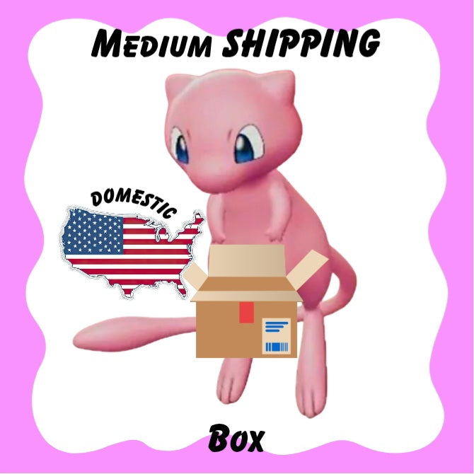 Medium Domestic Shipping Box