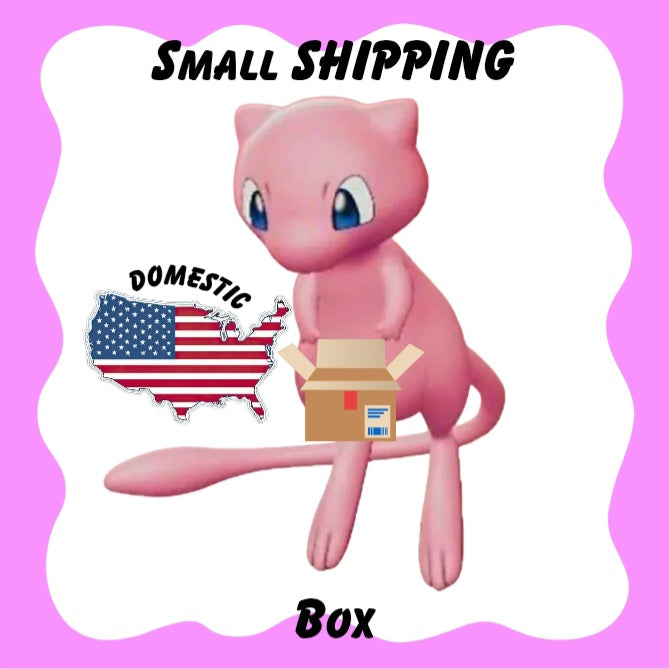Small Domestic Shipping Box