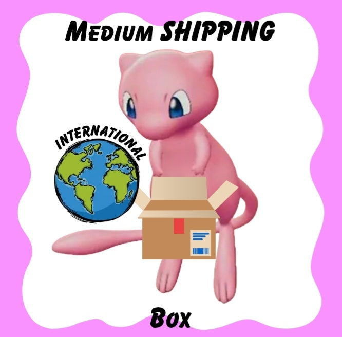 Medium International Shipping Box